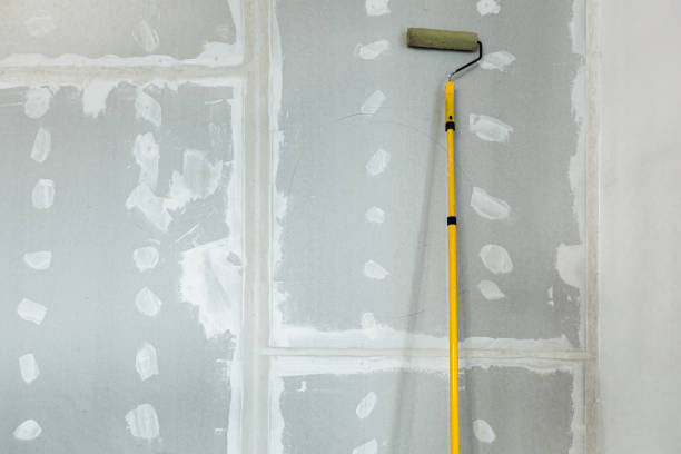 Best Mold-Related Health Consultation  in Conway, FL