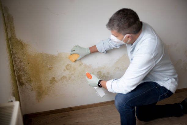 Best Mold Documentation for Insurance Claims  in Conway, FL